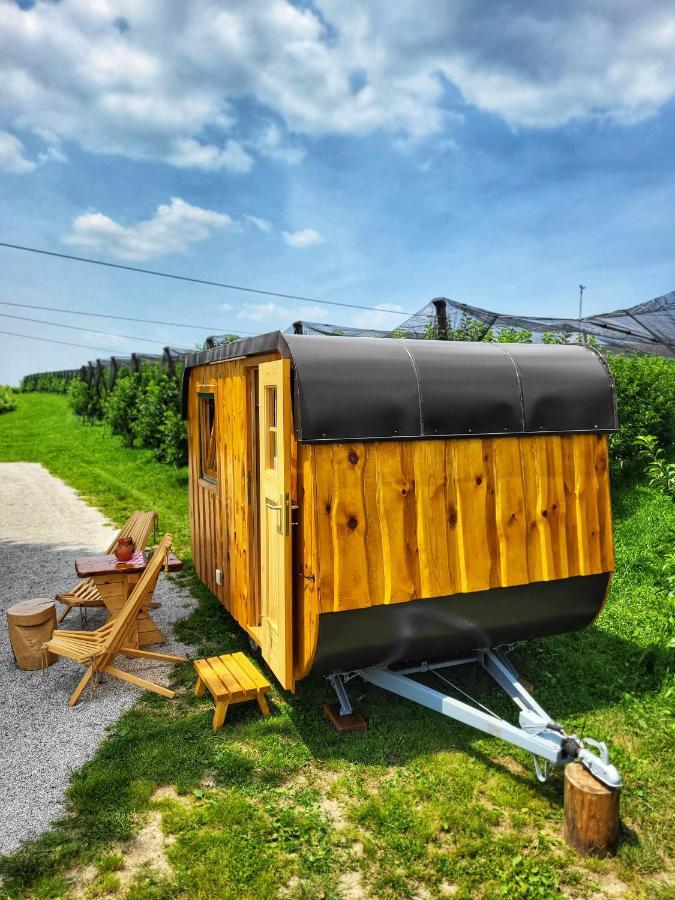 Unique Wooden Holiday House In Nature Lukovica pri Domžalah Εξωτερικό φωτογραφία